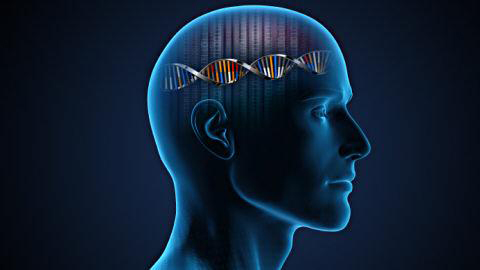 Iluustration IstockPhoto