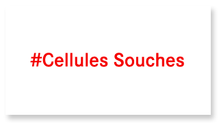 Source